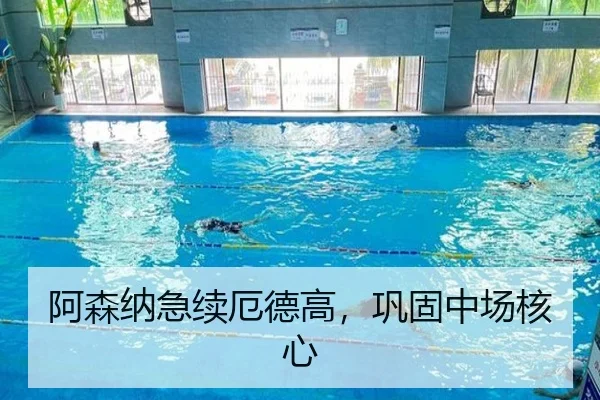 阿森纳急续厄德高，巩固中场核心